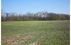 Property photo 11 - 641 Acres Offered in 16 Tracts - 545 Cropland Acres